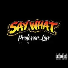 Professor Low — hip-hop artist profile photo