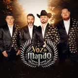 Voz de Mando profile photo