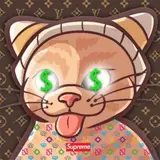 Camyo profile photo