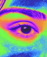 GAS profile photo