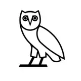 Drake profile photo