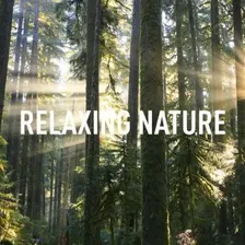 Nature Sounds — hip-hop artist profile photo