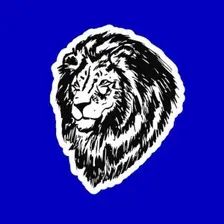 Vision of Leo — hip-hop artist profile photo